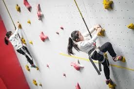 Wynn Sports2025年移动端下载量增长50%